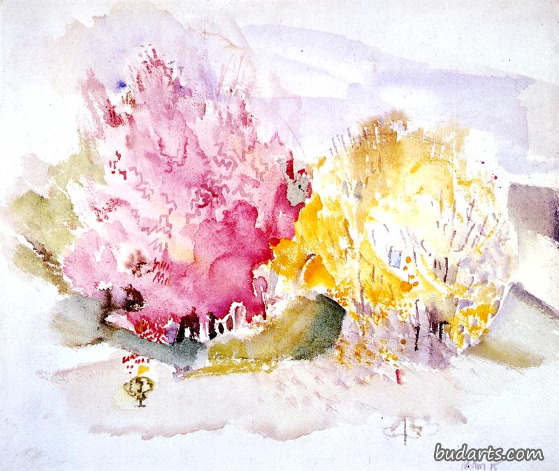 风景