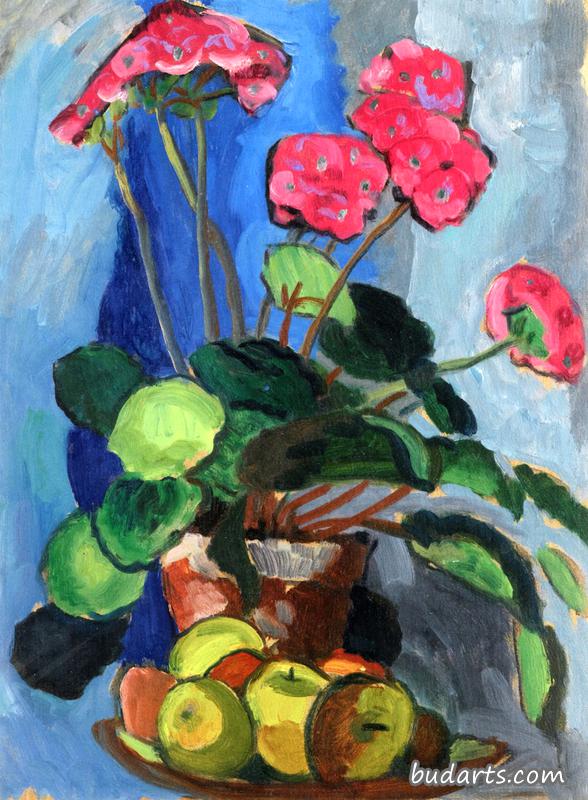 红色樱草花静物画