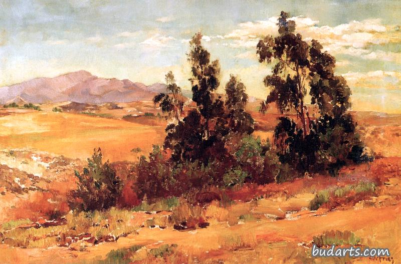Morning near Chula Vista, No. 143