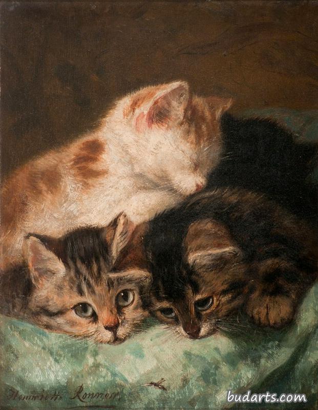 小猫