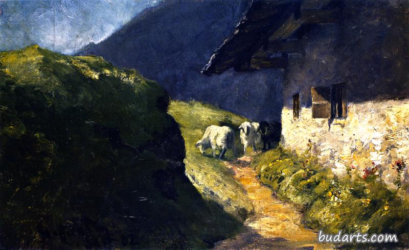 Steffelalm II with Sheep
