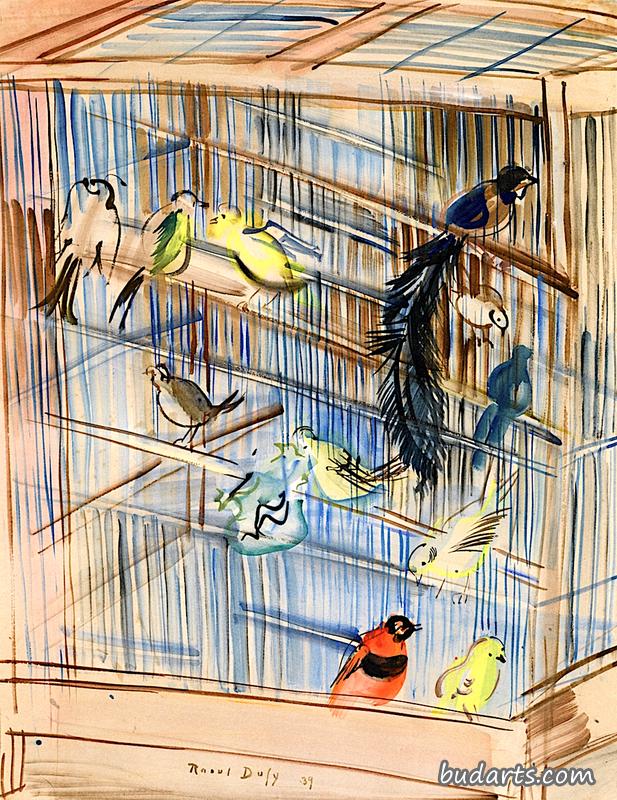 鸟舍