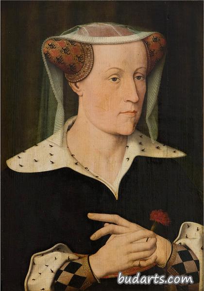 巴伐利亚的雅各布，荷兰和泽兰伯爵夫人，1490-1556年