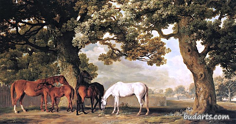 伊顿大厅格罗夫纳勋爵的母马和马驹