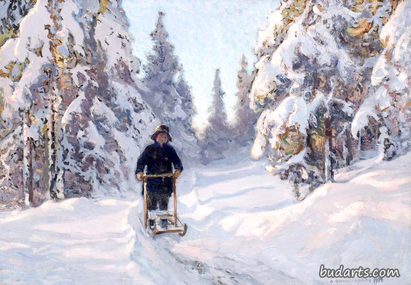 一个男孩在芬兰雪橇上的冬季场景