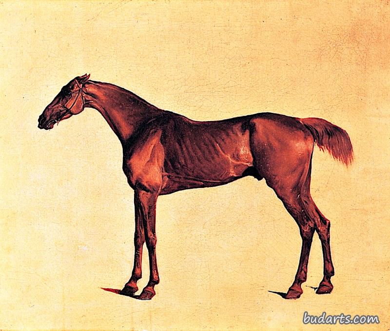“胖子”，一匹深栗色的马，显然绰号“鲁弗斯”