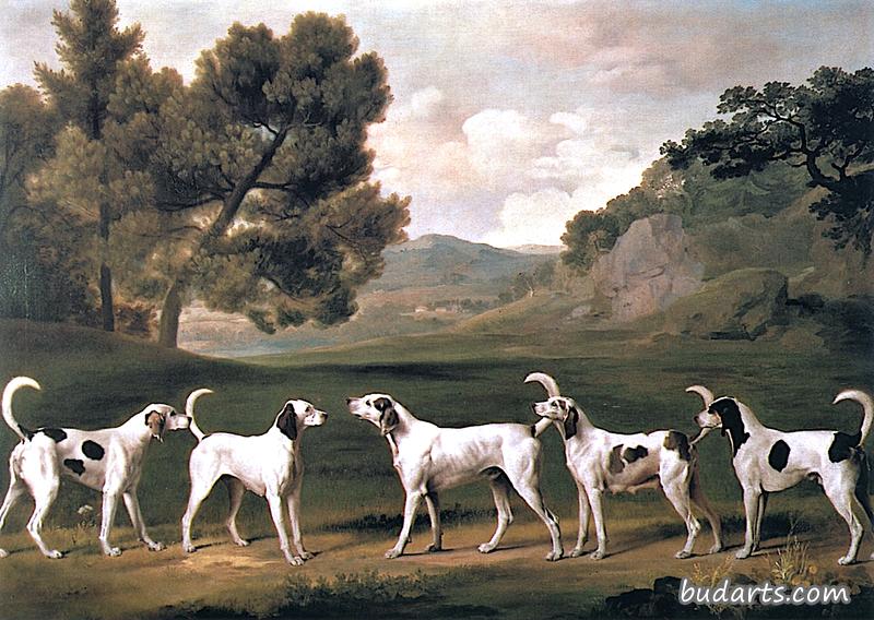 风景中的五只罗基汉姆勋爵的猎犬