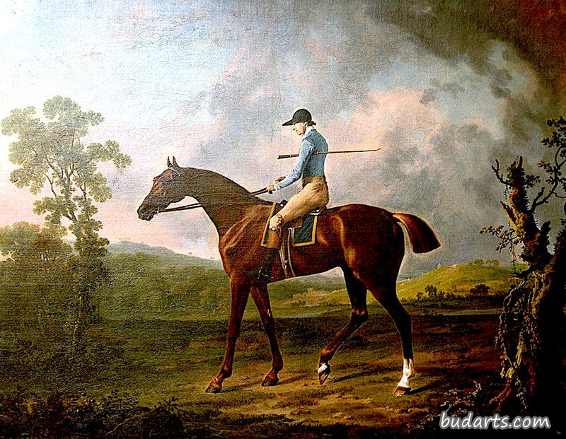 “安蒂诺乌斯”，一匹属于格拉夫顿公爵陛下的马