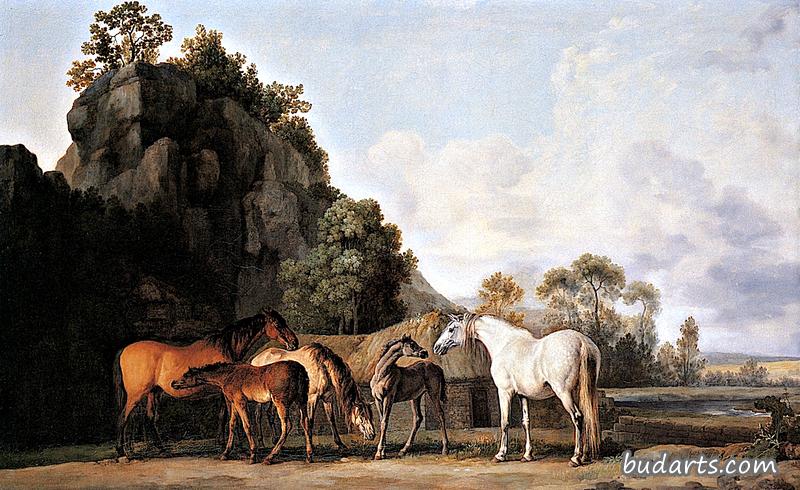 崎岖景观中的母马和马驹（大细节）