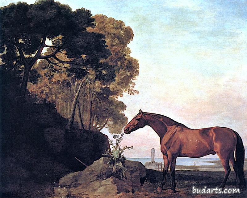查尔斯·班菲尔德爵士的海湾马，位于岩石海岸，背景是灯塔
