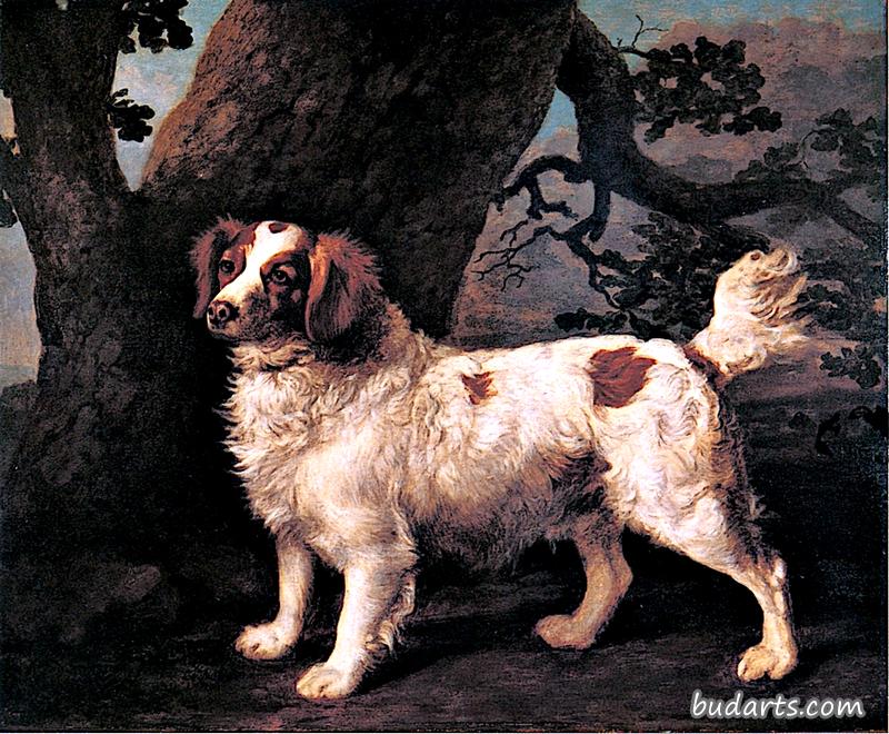 查尔斯·佩勒姆·安德森的柠檬白水猎犬