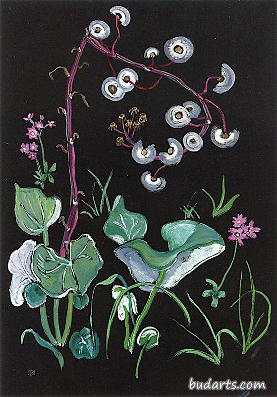 黄油