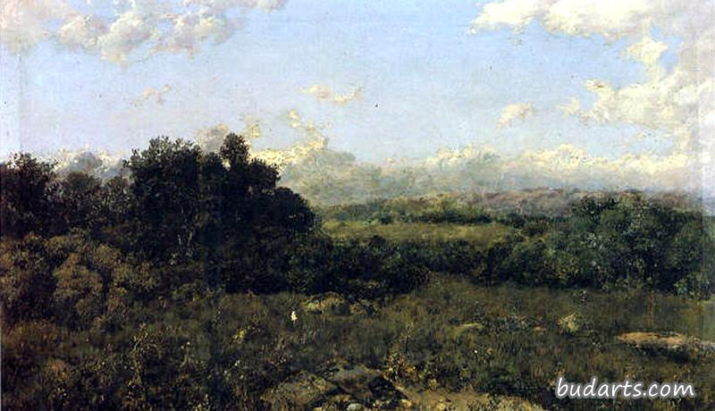 风景
