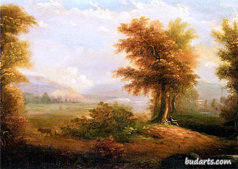 风景