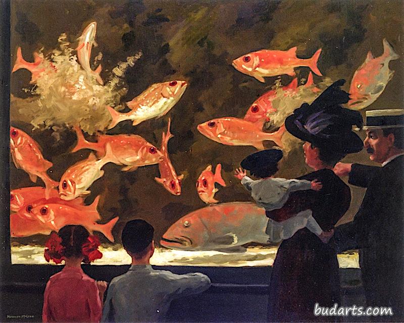 参观水族馆