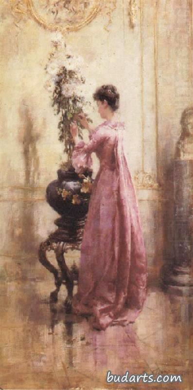 菊花女