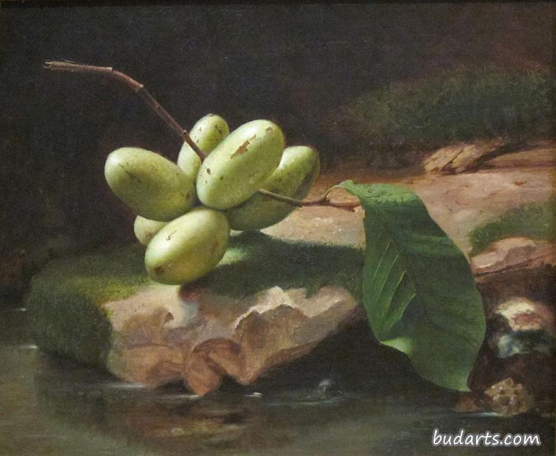 有爪子的静物