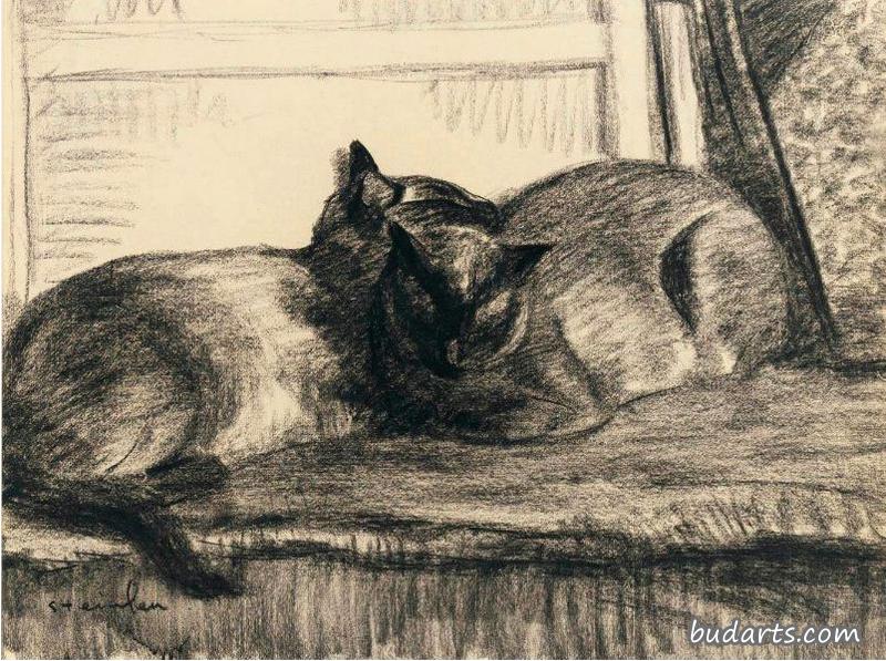 两只猫睡在工作室里