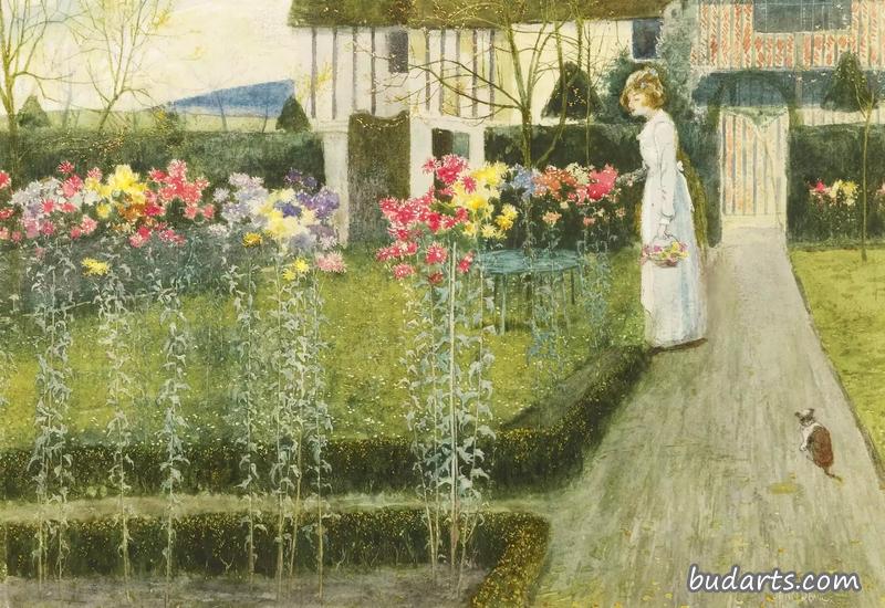 菊花