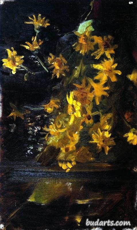 黄花