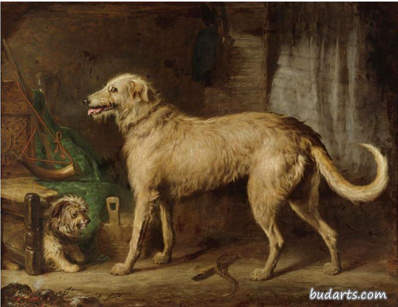 猎犬