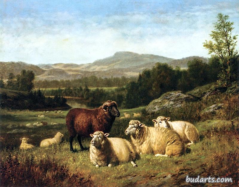 岩景中的羊