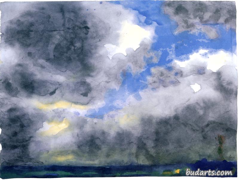 灰蒙蒙的沼泽景观