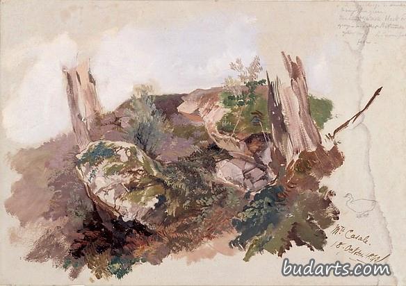 Study of Rocks, Shrubs, and Tree Trunks at Monte Casale near Sansepolcro, Tuscany Study of Rocks, Shrubs, and Tree Trunks at Monte Casale near Sansepolcro, Tuscany