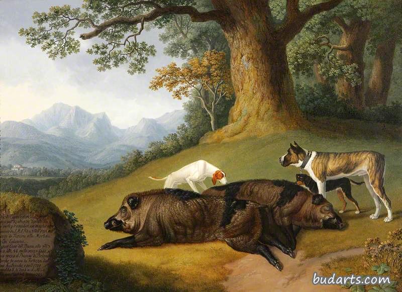 一头死野猪与一只獒和另外两只狗的两种看法 一头死野猪与一只獒和另外两只狗的两种看法