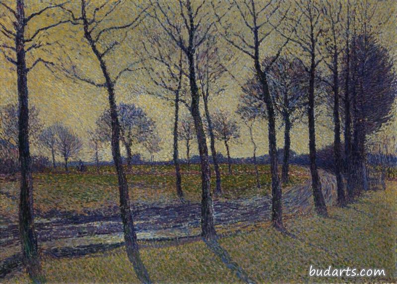Lane of Trees, Kalmthout