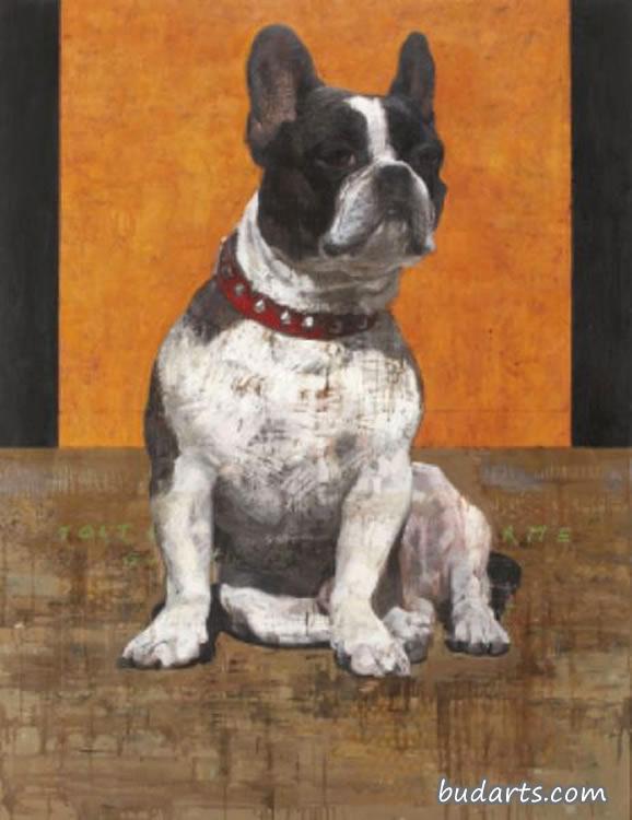 斗牛犬