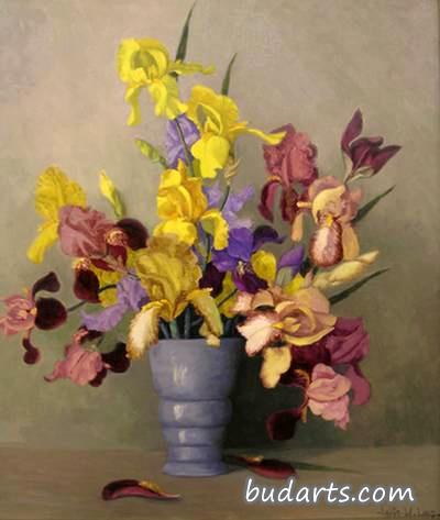 鸢尾花