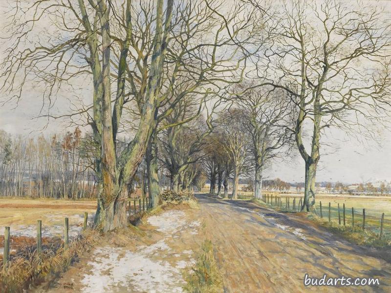 The Road to the Mains, Benvie, Angus