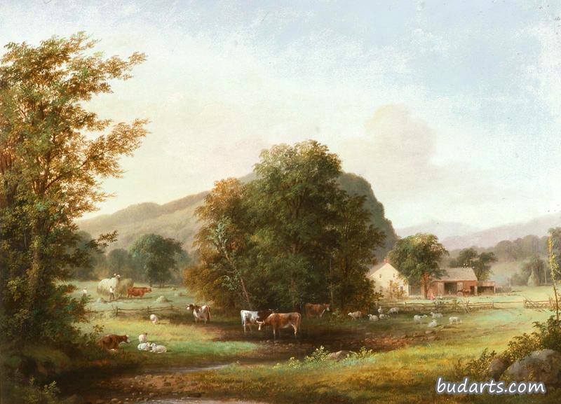 夏日风景