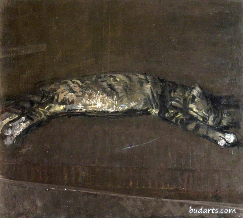 睡猫