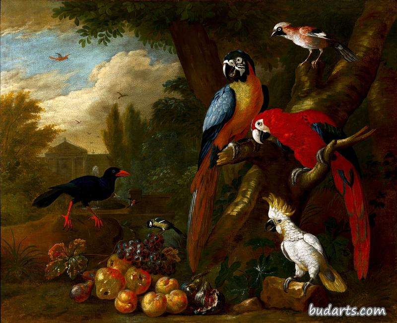 两只金刚鹦鹉，一只鹦鹉和一只杰伊，还有水果