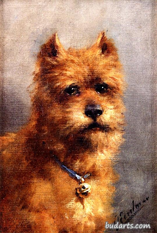 猎犬