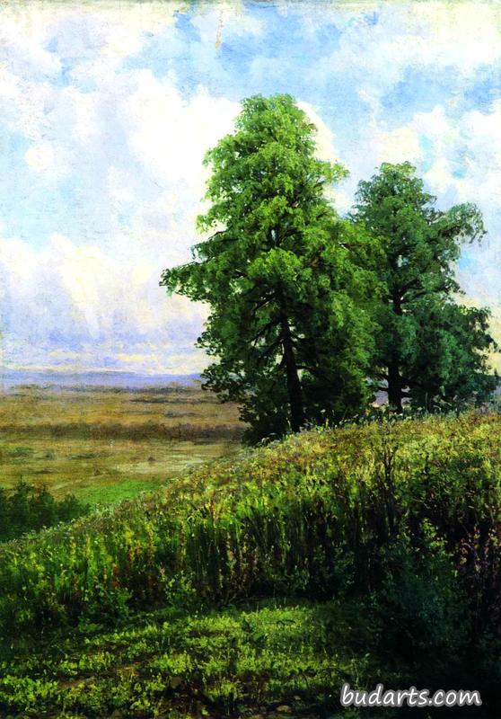 风景