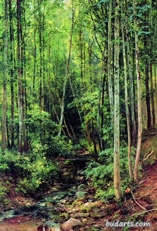 山杨林