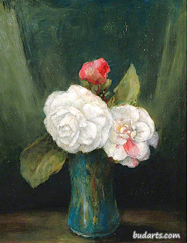 茶花