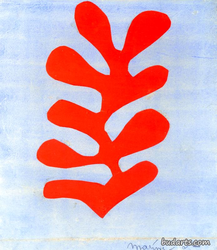 天蓝色背景上的红色海藻