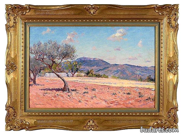 Landscape at Midi
