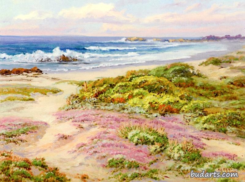 Summer, Bird Rock, 17 Mile Drive, Monterey
