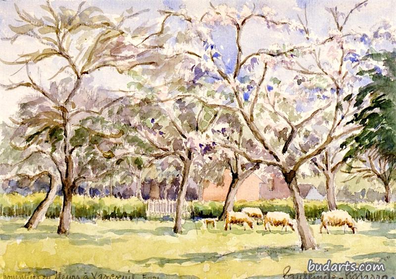 Apple Trees in Flower at Vascoeuil Eure