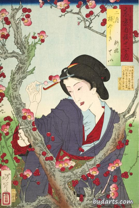 第二个月:明治县一棵李树旁的新桥寺 第二个月:明治县一棵李树旁的新桥寺