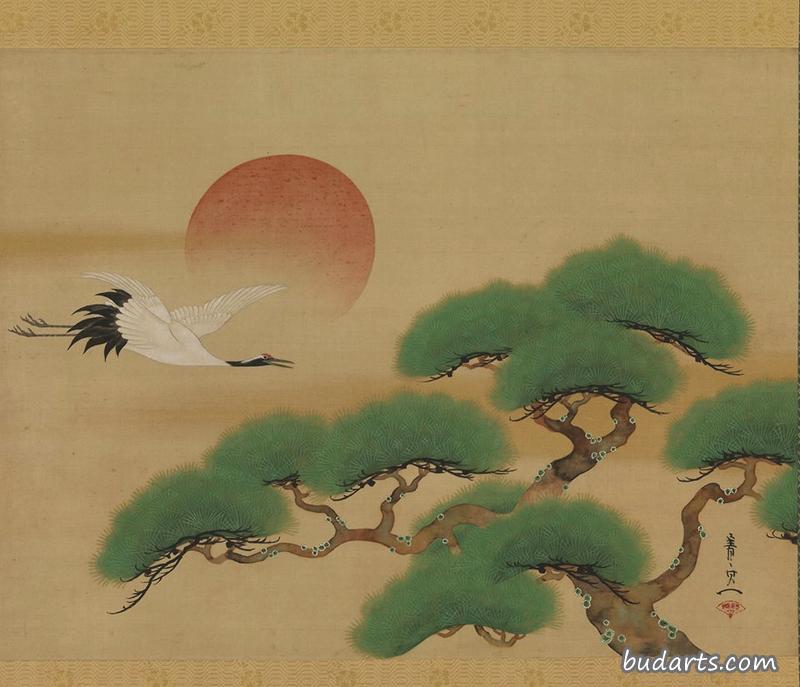 朝阳鹤松树