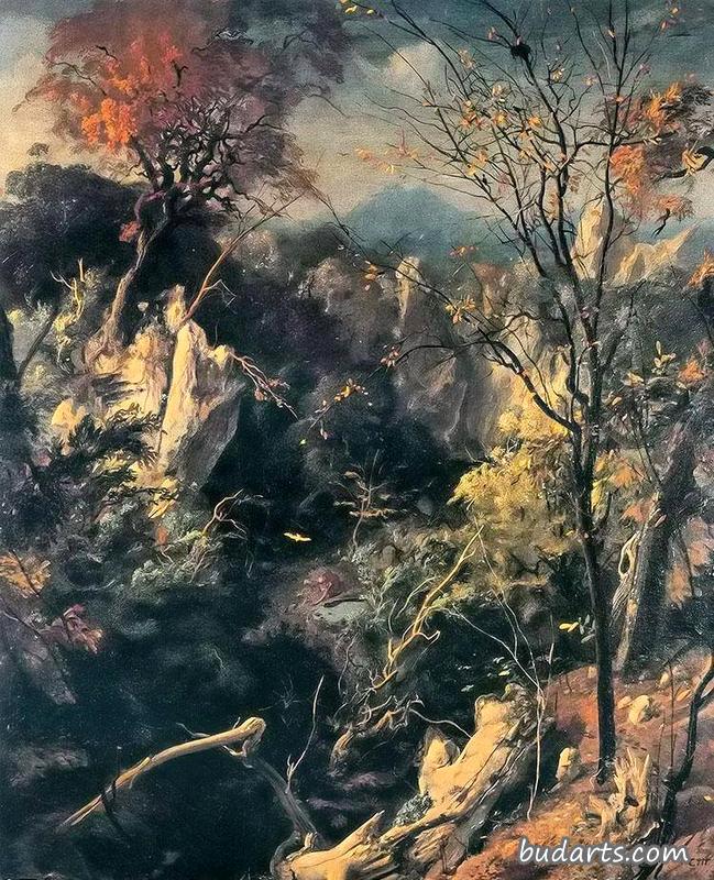 风景