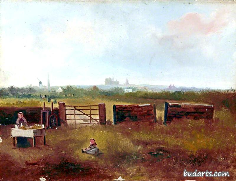 View from the End of Bidston Avenue, Wirral