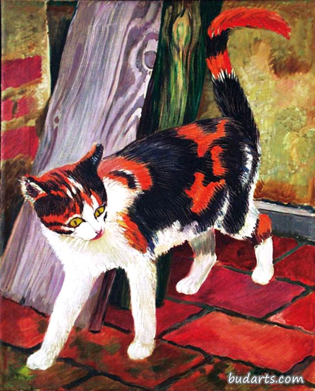 猫