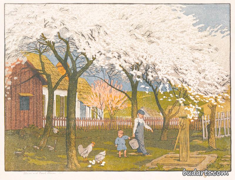 梅桃花